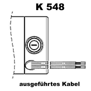 b_K548