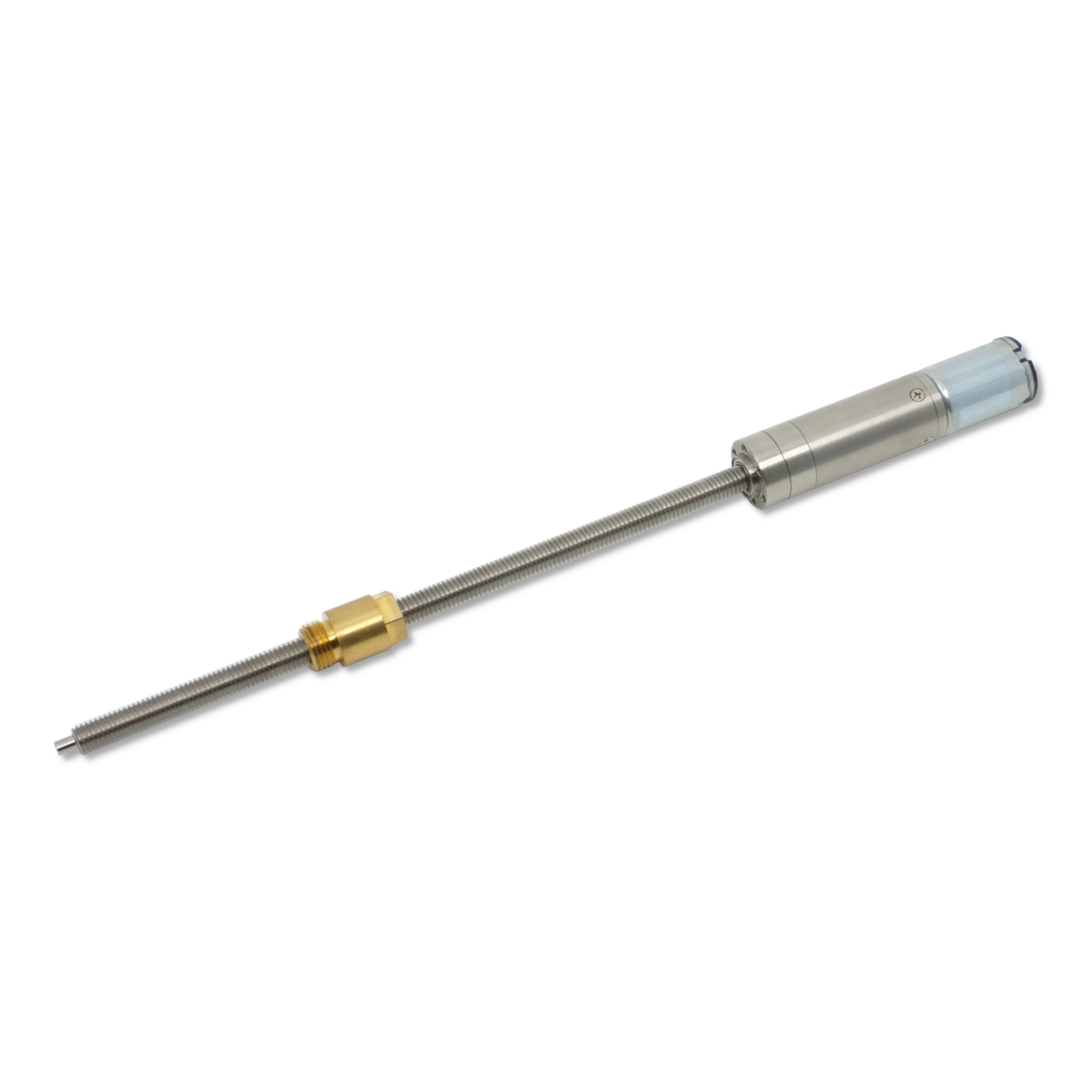 Planetengetriebemotore Baureihe P016024 Motor-Typ P016024.0004.80 BLDC Planetengetriebemotore Baureihe P016024 Motor-Typ P016024.0004.80 BLDC
