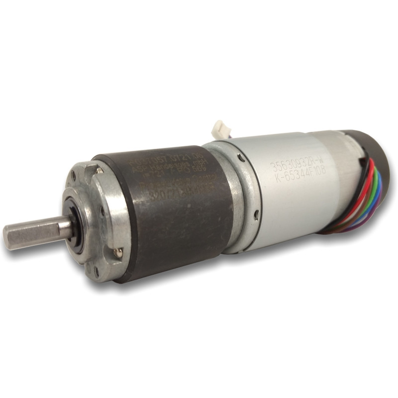Planetengetriebemotore Baureihe P037057 Motor-Typ P037057.0019.06 DC Planetengetriebemotore Baureihe P037057 Motor-Typ P037057.0019.06 DC