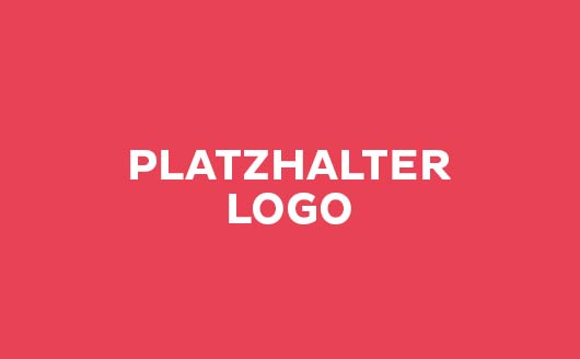 Motore ohne Getriebe Baureihe M096043 Motor-Typ M096043.0400.03 BLDC